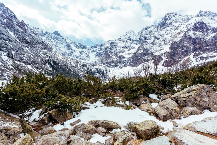 Top 5 Tallest Mountains in the World